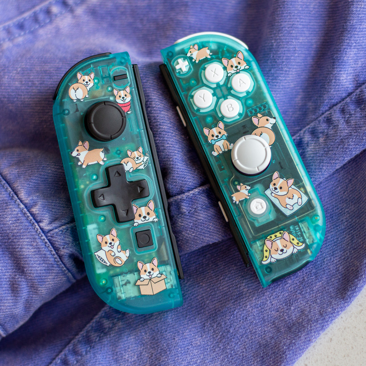 IMG_7641_1200x1200.jpg?v=