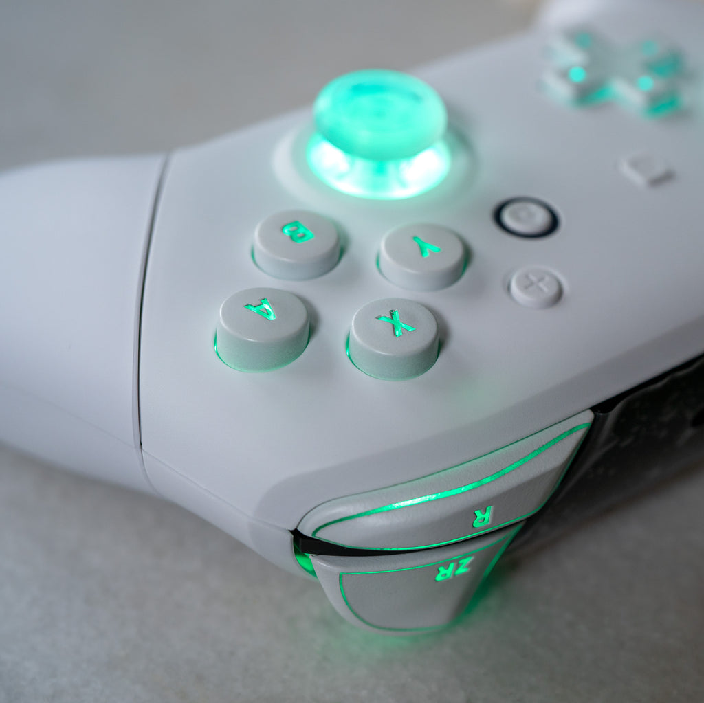 CUSTOM Pro Controller Nintendo SWITCH Controller Mod White on White LE ...