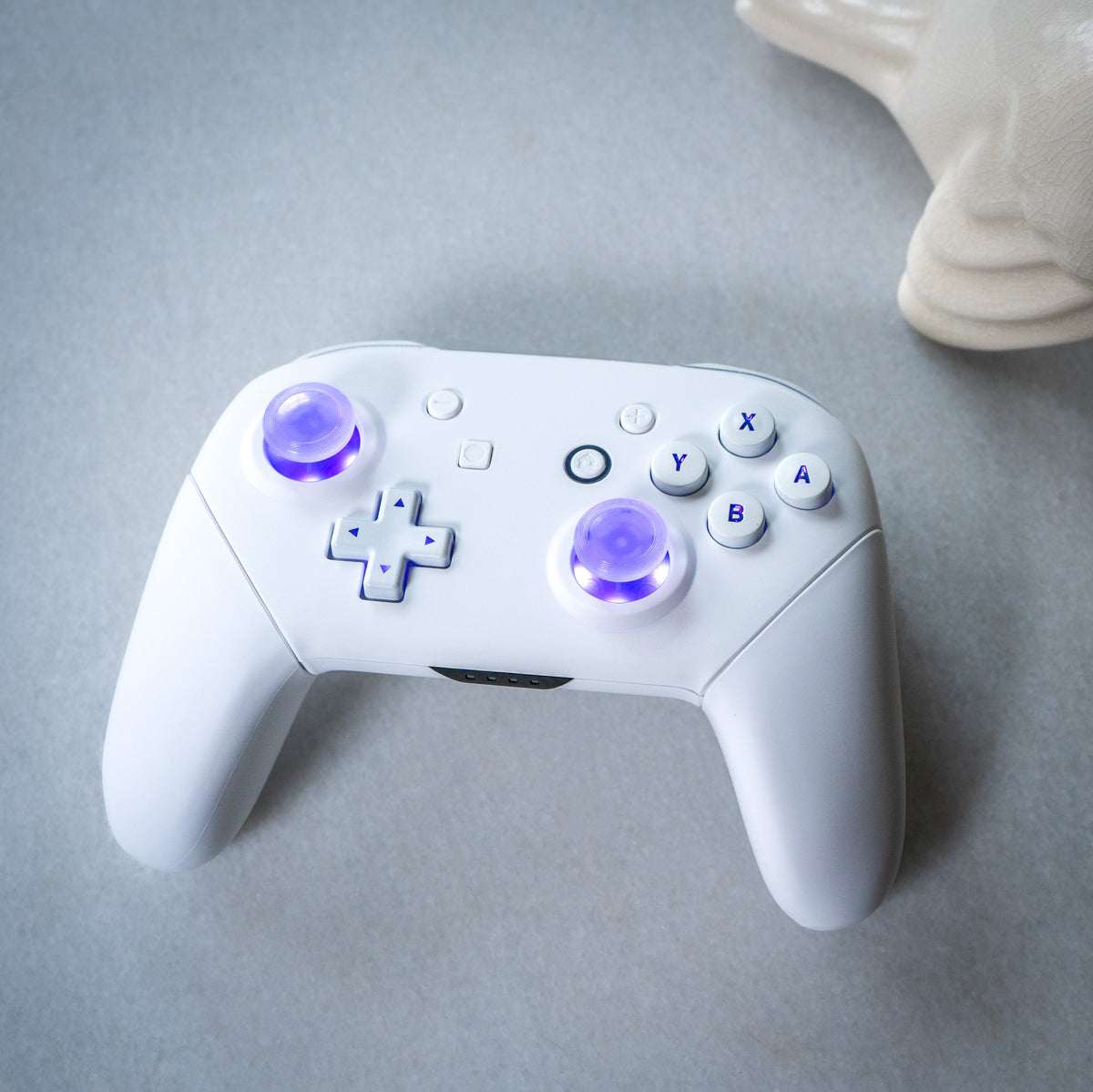 CUSTOM Pro Controller Nintendo SWITCH Controller Mod White on White LE ...