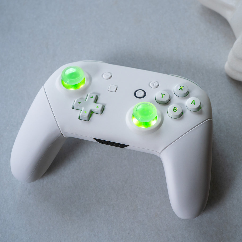 CUSTOM Pro Controller Nintendo SWITCH Controller Mod White on White LE ...