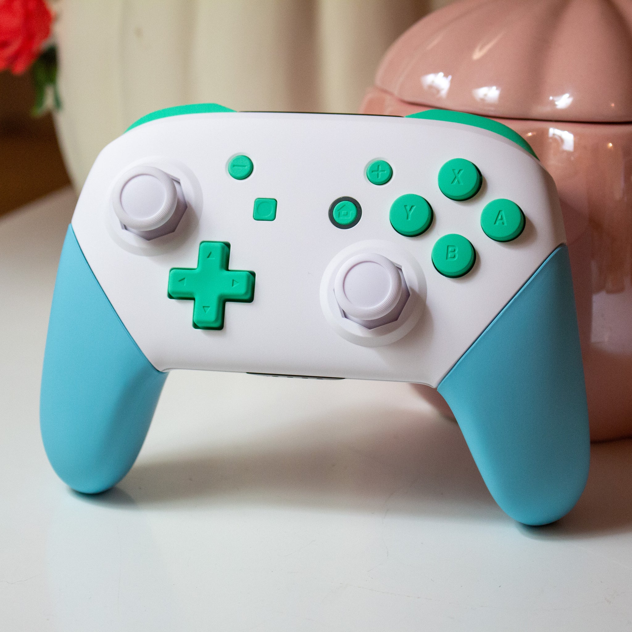 Animal Crossing Custom Nintendo Switch Pro Controller White And Pastel Colors