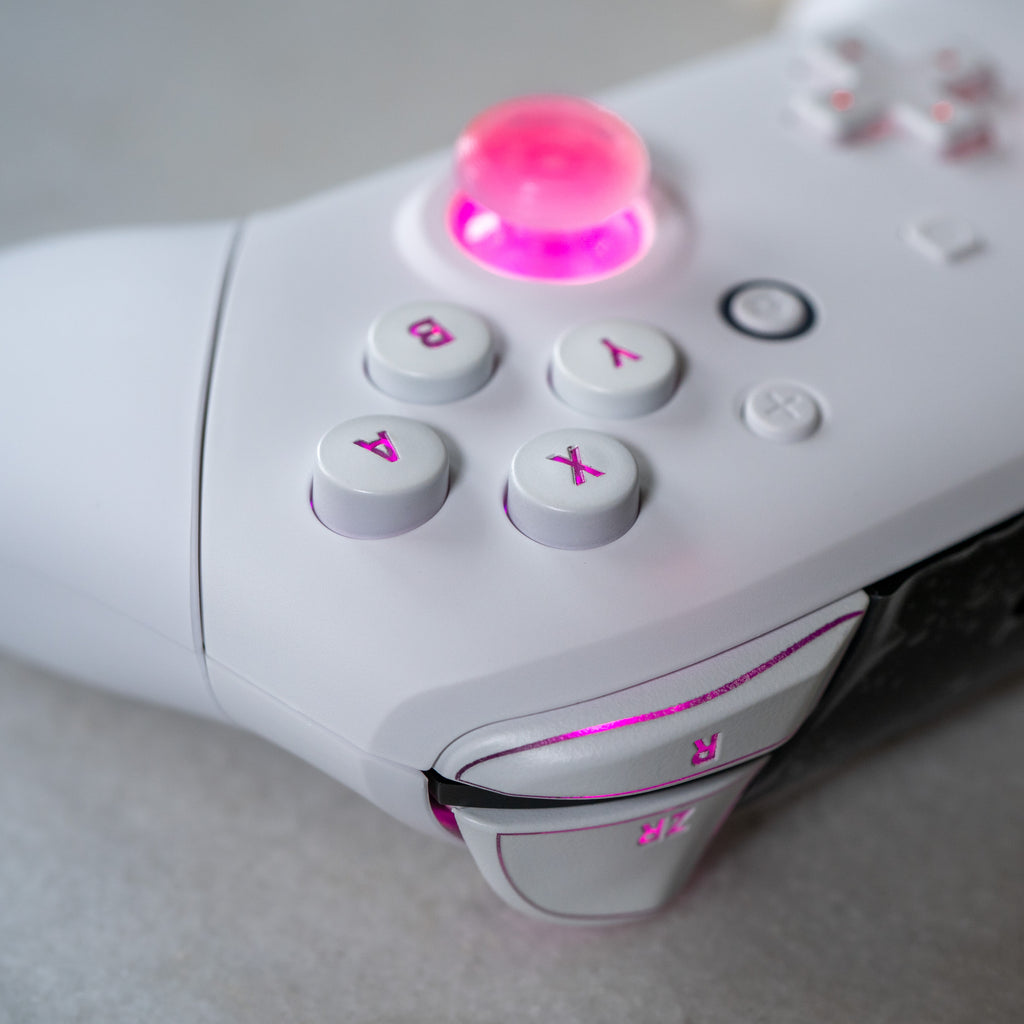 CUSTOM Pro Controller Nintendo SWITCH Controller Mod White on White LE ...