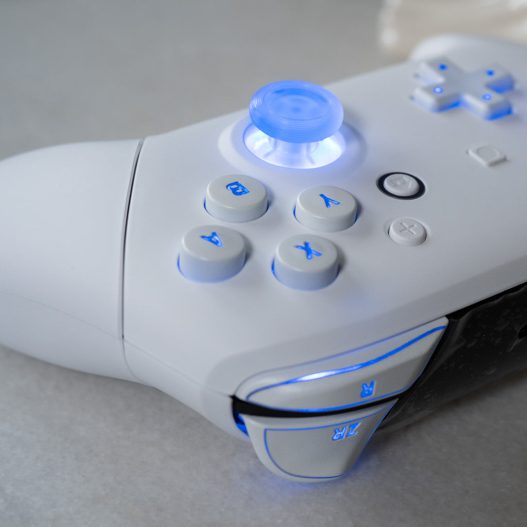 CUSTOM Pro Controller Nintendo SWITCH Controller Mod White on White LE ...