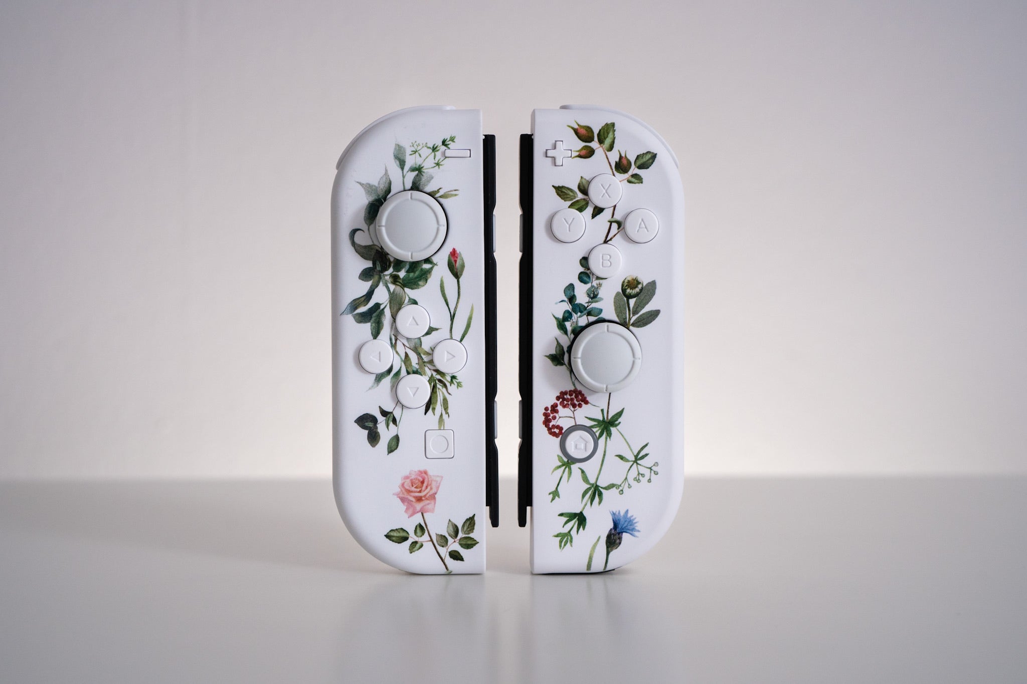 FLOWERS 四季 Nintendo Switch Amazon.com: PROTOTYPE Flowers SHIKI for NINTENDO SWITCH