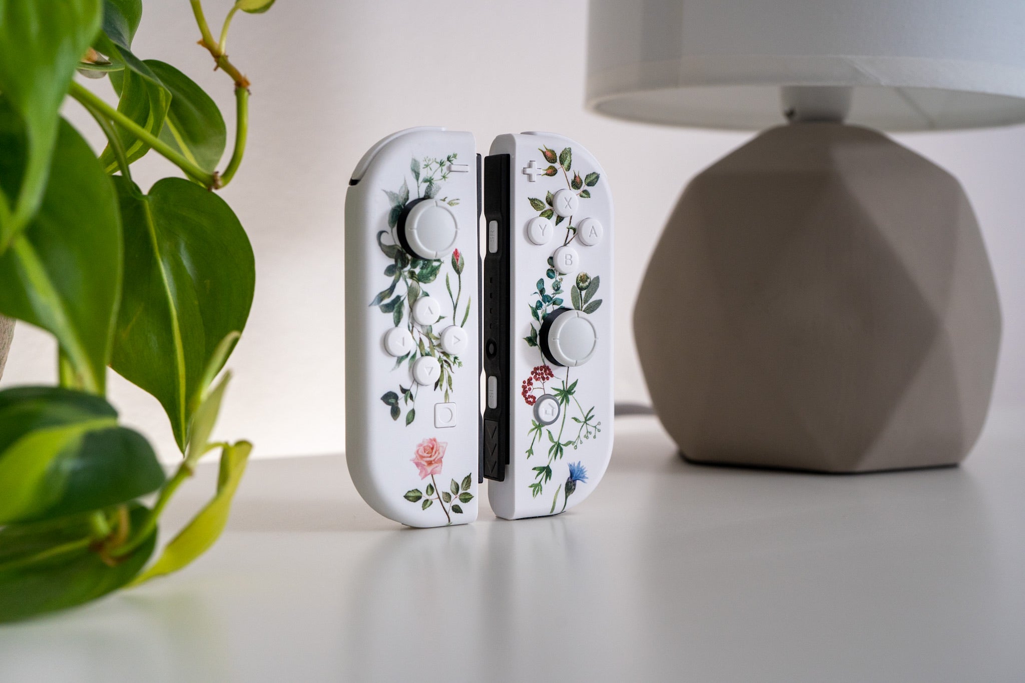 Flowers Vines & Laurels Joy-Cons Mod Nintendo Switch Special