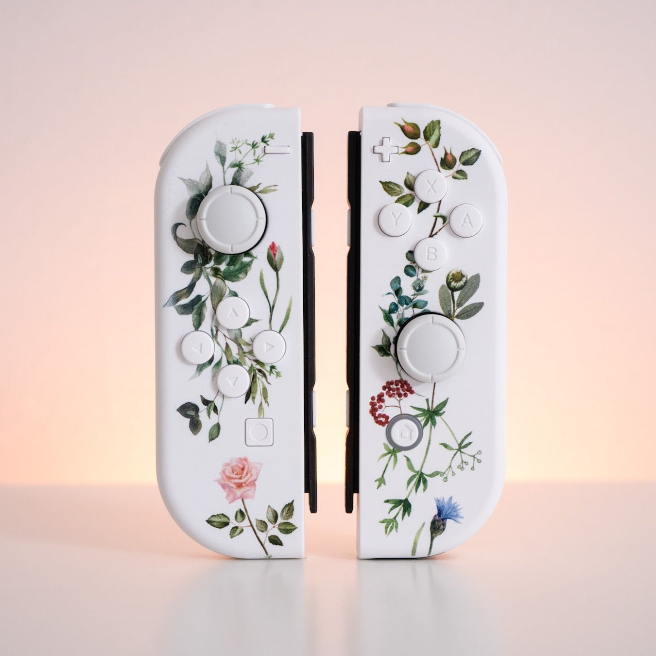 Flowers Vines & Laurels Joy-Cons Mod Nintendo Switch Special Edition Floral  Watercolor Custom Controllers
