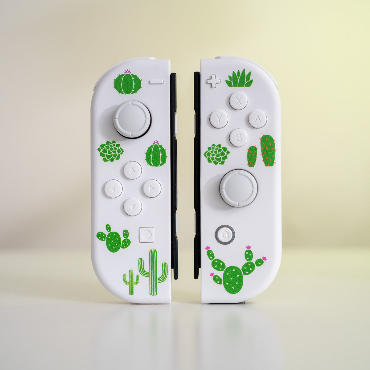 Prickly Cactus JoyCons Mod Nintendo Switch Special Edition Cacti Cust